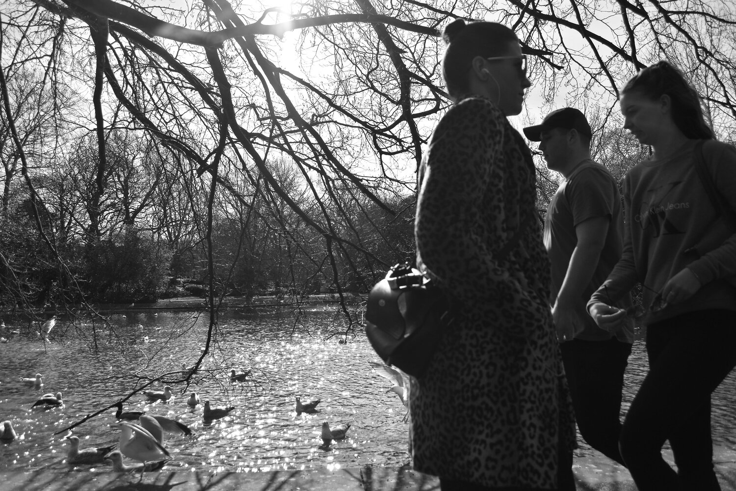 LAGO CON GENTE Y PATOS DUBLIN