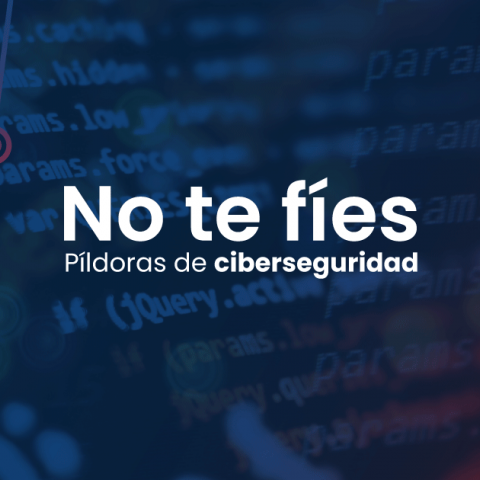 Pídoras de ciberseguridad