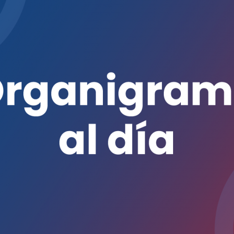 Organigrama