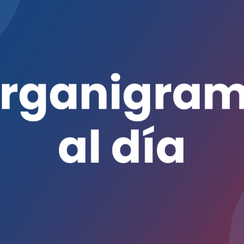 Organigrama