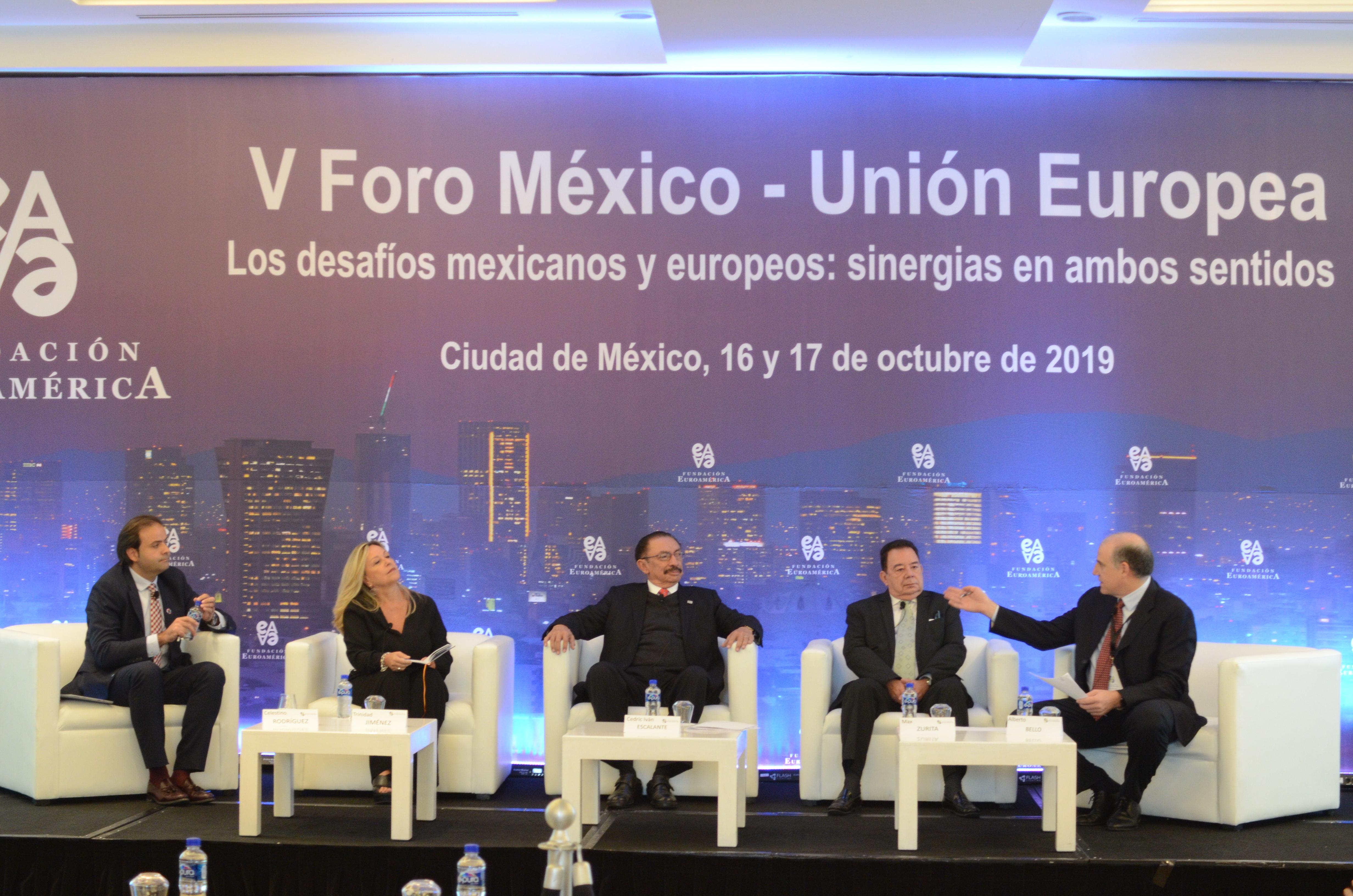 Ineco, at the 5th Mexico-European Union Forum organized by the Euroamérica Foundation